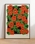 Orange Nasturtiums Print by Lou Taylor