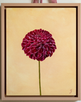 "Dahlia" Original Artwork by Jasmyn Fraser