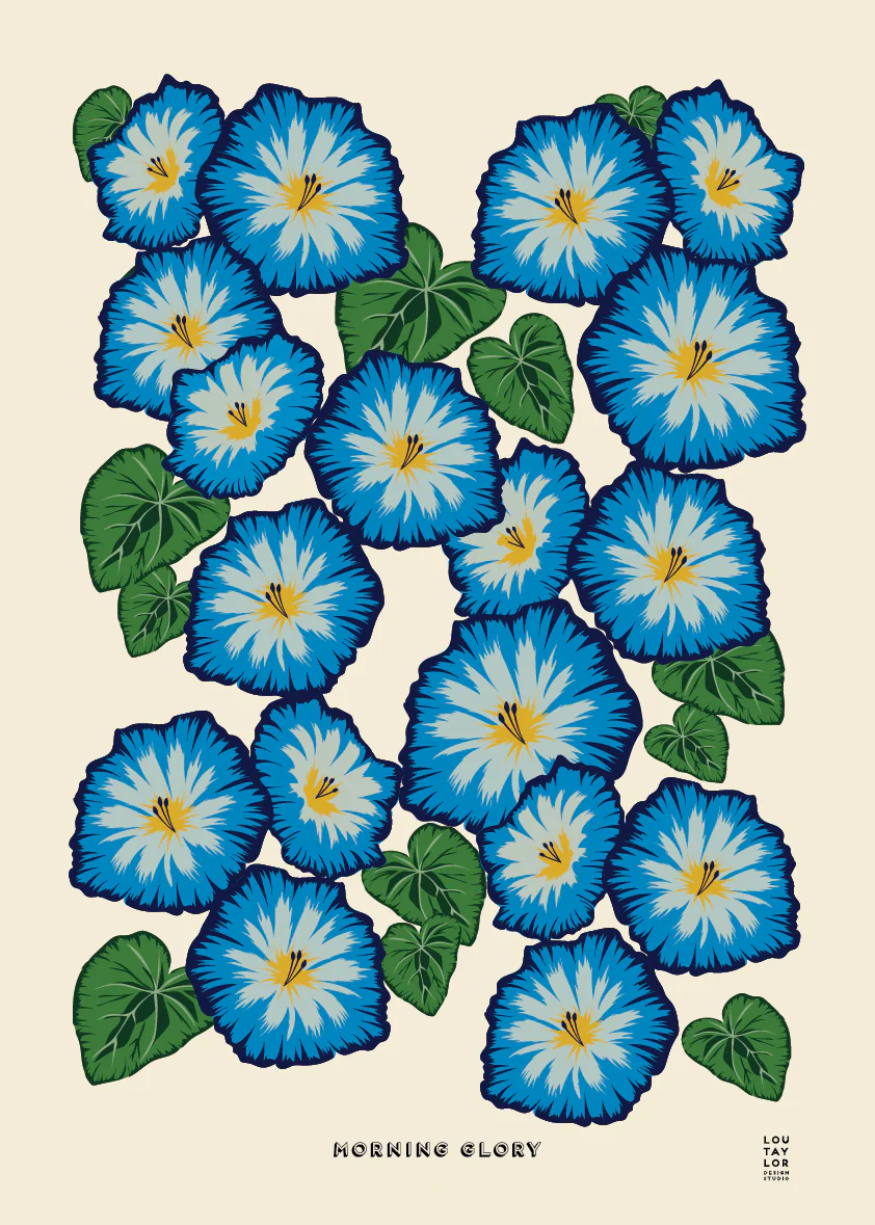 Morning Glory Print by Lou Taylor