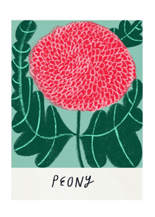  Peony Flower Art Print by Amyisla McCombie