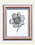 Multi Striped Poppy Original Artwork by Ley Lines
