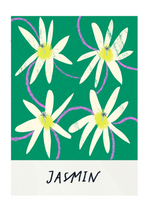  Jasmin Flower Art Print by Amyisla McCombie