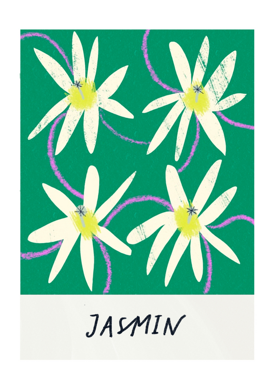 Jasmin Flower Art Print by Amyisla McCombie