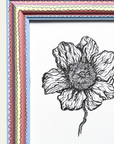 Multi Striped Poppy Original Artwork by Ley Lines