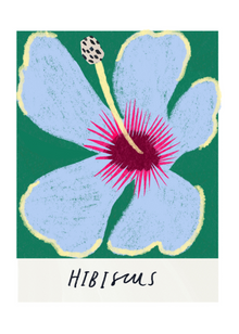  Hibiscus Flower Art Print by Amyisla McCombie