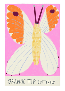  Amyisla Mccombie Orange Tip Butterfly Print Quinn Says