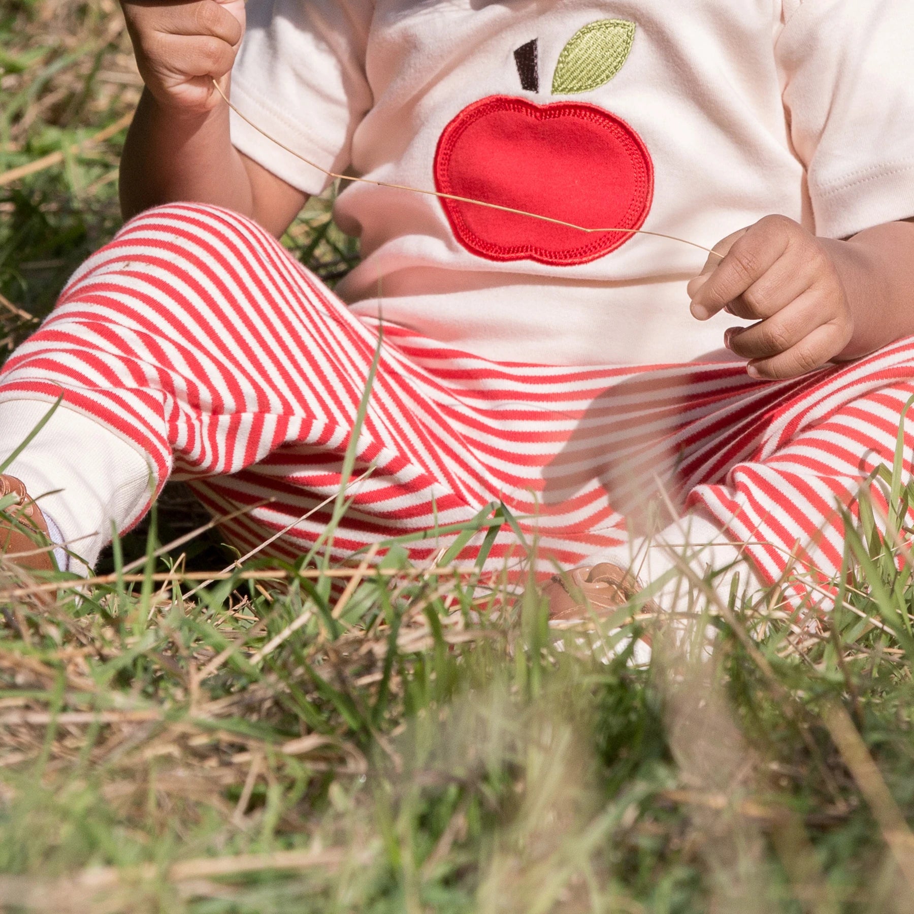 Little Green Radicals An Apple A Day Applique T-Shirt Quinn Says